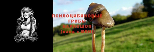 бутират Горно-Алтайск